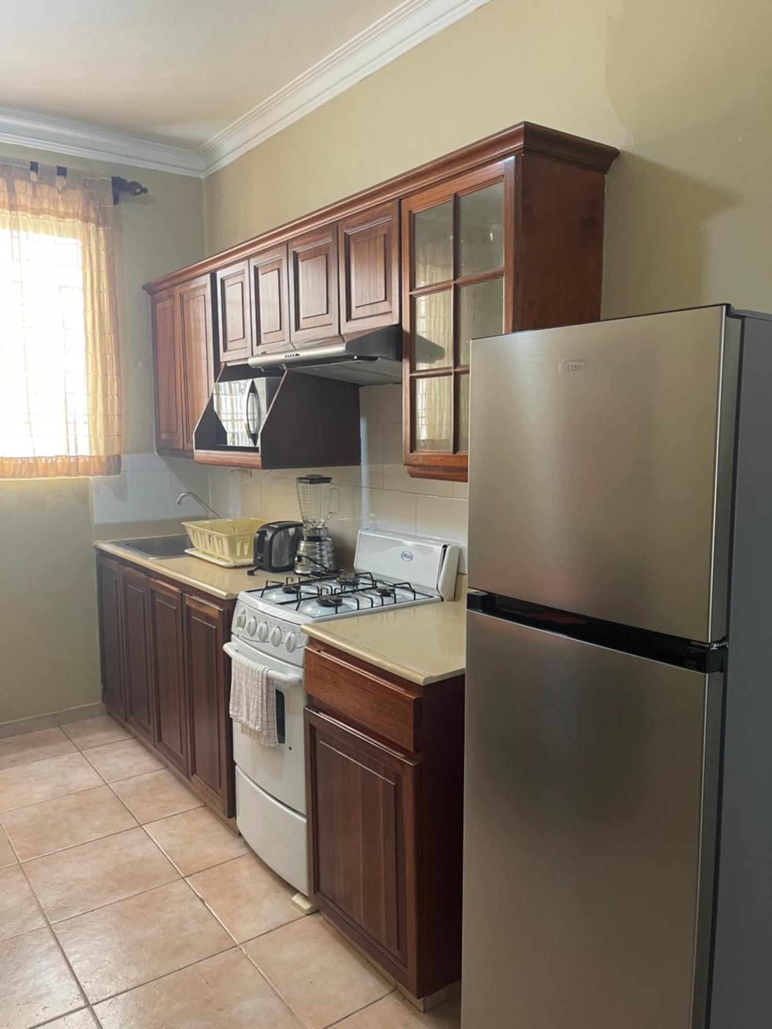Apartahotel Alvear Santo Domingo Dış mekan fotoğraf